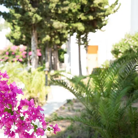 Otel La Quinta By Wyndham 4*